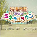 初中生100元150的小旅馆：青春预算下的住宿奇遇