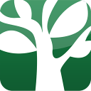 茶楼约app，品茗交友，雅集时光，茶香四溢p