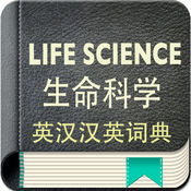 高效留痕：YouTube批量发布操作指南